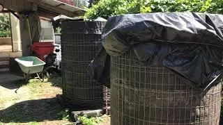 Экскурсия по теплице, южная сторона, августовский день 2020 года.
