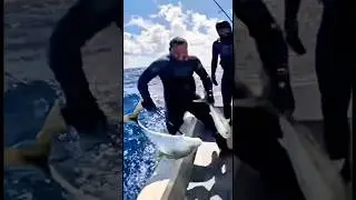 Это настоящая рыбалка | Прямая трансляция с морской охоты, запечатленная на камеру #рыбалка #коро...