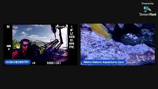 ATKINS NATURE AQUARIUMS