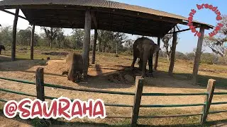 CANOEING  |  ELEPHANT BREEDING FARM VISIT  @SAURAHA