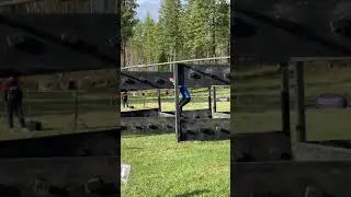 Z-Wall