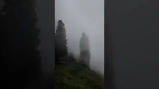 Foggy Morning at Malam Jabba Ski Resort | Pakistan&rsquo;s Hidden Mountain Gem.