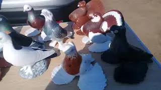 20210418 101809