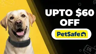 Эксклюзивные промокоды PetSafe, которые вы можете использовать сегодня!