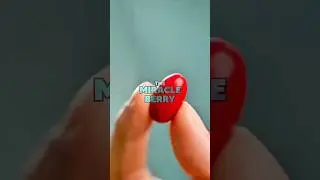 The Miracle Berry  |  Trick Your Taste Buds!