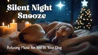 Silent Night Snooze 🌙 | 12 Hours of Peaceful Piano Music | Dog Sleep & Calm 🎄💤