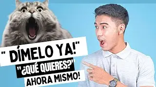 &iexcl;Descifra el Misterio! Lo que tu gato intenta decirte y no escuchas