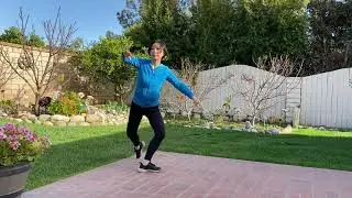 Taichi Chen Style Short Form