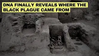 Scientists Extract DNA That Pinpoints Exactly Where Black Death Began!