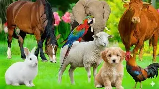 Relaxing Farm Animal Sounds 🐄🐑🐓 | Cow, Goat, Sheep, Horse, Chicken & Duck | Happy animal Moments