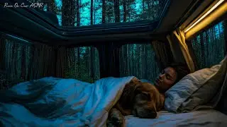 Cozy Car Rainstorm 😴 Relaxing Rain & Thunder Sounds for Deep Sleep and Stress Relief