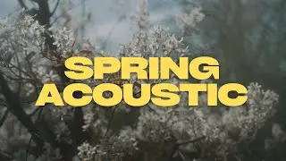 Spring Acoustic Songs | Relaxing Chill Music
