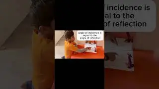 Light Reflection Model | Easy Science Project for school/student| Law of Reflection Explained