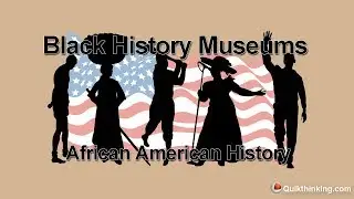 Black History Museums VIP Tour - New York, New York