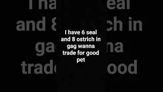TRADING SEAL AND OSTRICH FOR GOOD PET IN GAG 🫢#roblox #gag #trading