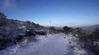 Mt William (snow).... 2/Aug/2014
