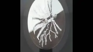 Unknown Artist   Untitled biology ep