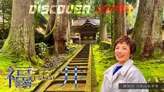 【思いを辿る】会いたい‼行きたい‼を詰め込んだ念願の福井旅〈旅人・榊原郁恵〉