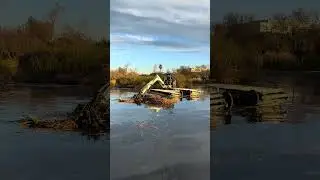 Goodbye Cattails Amphibious Excavator  #goodbyecattails #waterways #bullrush