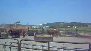 ferme brylee