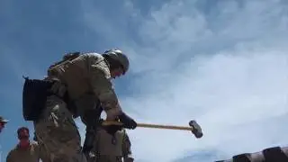 Ready To Fight