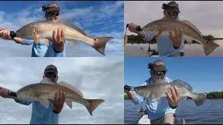 Mosquito Lagoon Overslot Epic Fishing Report 1-10-2026