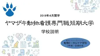 専門職短期大学の特徴を知ろう！