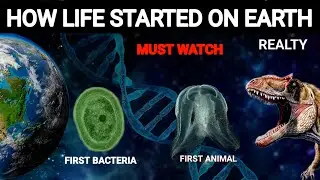 How did Life begin on Earth ? Mistery of our origin |