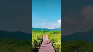 MANGROVE AREA AT KOH CHANG THAILAND TRAVEL GOALS