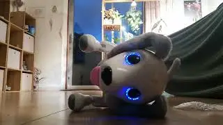 How to train your zoomer robot dog 