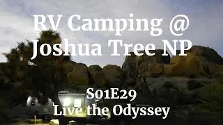 RV Camping at Joshua Tree National Park⛺🌴🏕🏞 - S01E29 Live the Odyssey
