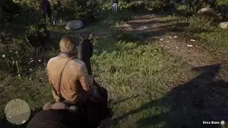 Its My Birthday Playin Red Dead Redemption 2