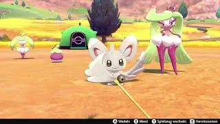 Pok&eacute;mon Sword/Shield - Playing Feather Wand with Picochilla / Minccino