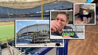 Spring Training reviews: Tropicana Field & the Tampa Bay Rays
