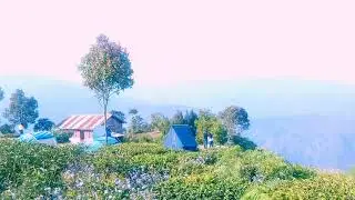 Ahaldara View Point | Sittong | Darjeeling | North Bengal | Go Nomad With Maria