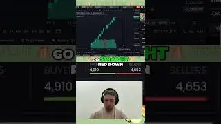 Разоблачение: шокирующая правда о мемокоинах PUMP & DUMP