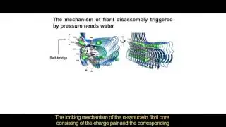 Parkinson's Disease: Structural basis for the dissociation of &alpha;-synuclein fibrils
