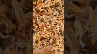 Palash Flower (Butea monosprema) Uses and Benefits #palash #shorts #ayurveda #flowers #palash #palashflower