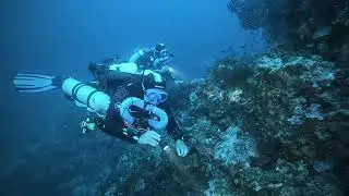 [EXPLORATION - CCR 🧜‍♂️ TRIMIX] -63m sur les nombreuses Gorgones du Mler 😍