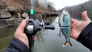 A Quick on the Water Look at the Phoney Frogs Phoney Shad in Oikawa