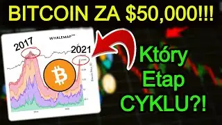 Bitcoin PONAD $50,000!!! Nowe Dane z HODL Waves Bitcoina Na 2021!! Kryptowaluty Na Skraju Cyklu?!