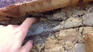 Should never of been injected with cavity wall insulation
