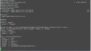 2.4 Environment Setup, Puppet Agent Installation