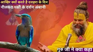 दशहरा को नीलकंठ पक्षी क्यों देखना चाहिए | दशहरा के दिन नीलकंठ पक्षी देखना शुभ या अशुभ 😱 महाराज जी