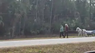 People walking their working miniature horse pulling a trailer off US 19 north of Chiefland