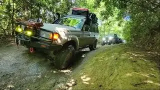 Peaks 2 Shore 2021