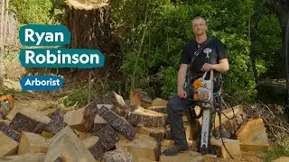 This is what a day as an Arborist looks like