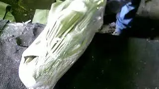 Упаковка товара, заказ: карбонус #924742