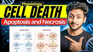 Physiology - Cell Death | MBBS 1st Year | Full Explanation With Exam Notes | MBBS World