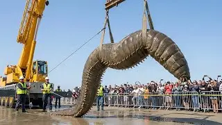 1,000kg Sea Monster Worm?! You Won&rsquo;t Believe This (Documentary)